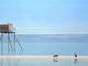 Perfect Moments Before Noon 8 / 50 x 100 cm / sold