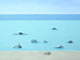 Perfect Moments Before Noon 6 / 50 x 100 cm / sold