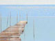 Perfect Moment Before Noon 12 / 50 x 100 / sold