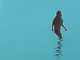 Perfect Moments 24 / 50 x 100 / sold