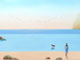 Perfect Moments 26 / 50 x 100 / sold