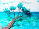 Pejzaż Południowy 3 / Southern  Waterscape 3 / 40 x 60